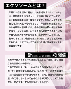 【MARK AID】エクソスピキュールクリーム【エクソソーム針クリーム】［ 京都 美容 ブランド エイジングケア用濃厚 保湿クリーム 寝ている間にハリ感向上 人気 おすすめ スキンケア用品 基礎化粧品 化粧品 美容クリーム お取り寄せ 通販 送料無料 ふるさと納税 ］