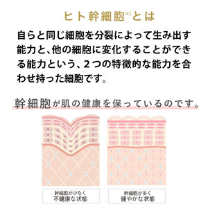 【ジョワセリュール】ヒト幹細胞培養エキス配合 エマルジョン｜京都 美容ブランド コスメ 人気 コスメ