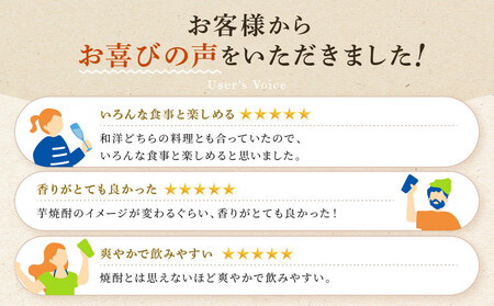 【タカラ】「ISAINA」芋焼酎ソーダ(350ml×24本)｜京都 タカラ 酎ハイ サワー 人気セット