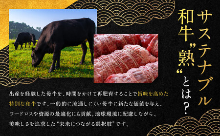 【銀閣寺大西】国産サステナブル和牛「熟」ローストビーフ「モモ」4〜5人前(350g)