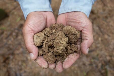 【筍 専門店】※2026年4月中旬~発送※ 京の伝統野菜京たけのこ(塚原たけのこ)