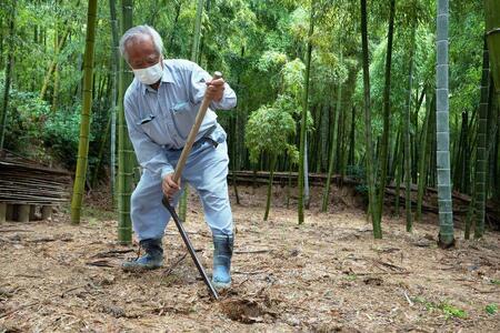 【筍 専門店】塚原たけのこビン詰め(3本セット)