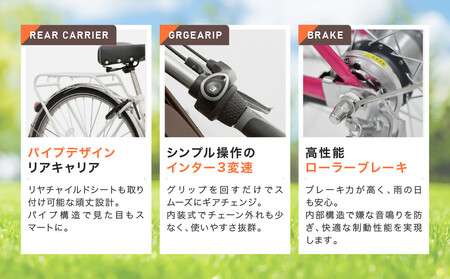 完成品でお届け！ 電動自転車 20インチ 11.1Ah ペット乗せ ペットポーター【マットブラック(K65T)】｜京都 自転車専門店 人気 PET-ASPET203Z-FB