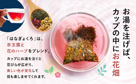 【京都ぎょくろのごえん茶】4色の玉露ハーブティー はなぎょくろ 飲み比べセット