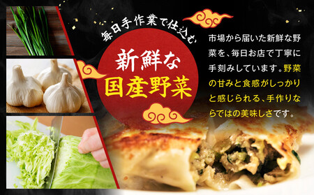 【マルシン飯店】京都・超行列店の生餃子20個入り|京都東山 超人気中華 看板餃子