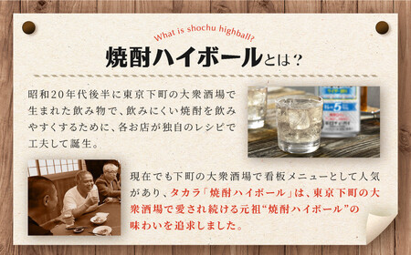 【宝酒造】焼酎ハイボール「キレの5%」＜サイダー割り＞ 24本セット 350ml  ｜京都 酎ハイ サワー 人気セット