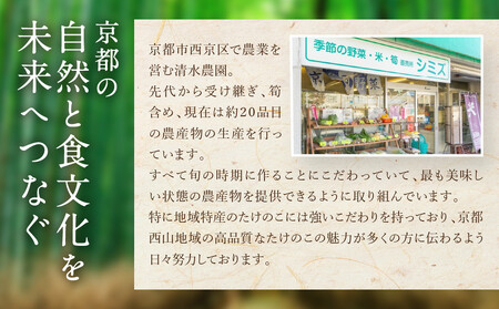 【清水農園】『京たけのこ』収穫体験＋1キロのお土産付プラン 2026年4月19日(日)  (2)13時～の部 1名様分