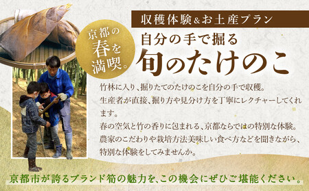 【清水農園】『京たけのこ』収穫体験＋1キロのお土産付プラン 2026年4月19日(日)  (2)13時～の部 1名様分