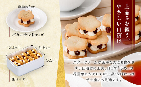 【三木鶏卵】レーズンバターサンド 10個入り|京都 錦市場 有名店 スイーツ バターサンド 人気セット