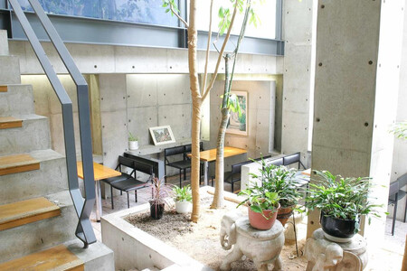 【まざあぐうす】京の抹茶ティラミスチーズケーキ12cm|京都 スイーツブランド ケーキ 人気