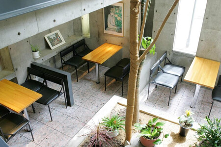 【まざあぐうす】京の抹茶ティラミスチーズケーキ12cm|京都 スイーツブランド ケーキ 人気