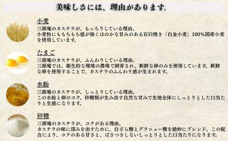 【三源庵】訳あり カステラ切り落とし(プレーン)6パック 1080g｜京都 カステラ専門 人気セット おすすめ スイーツ