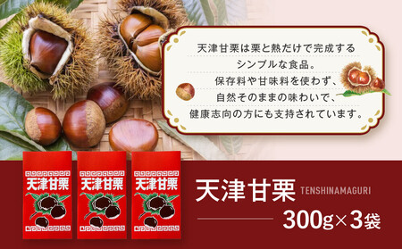 焼き立て! 天津甘栗300g×3袋｜京都 甘栗 人気
