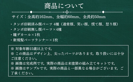 【ボークス】ブロッカーズ FIORE コスモス＆コメット（新規髪パーツ付属版）｜京都 人気ホビーショップ 美少女プラモデル