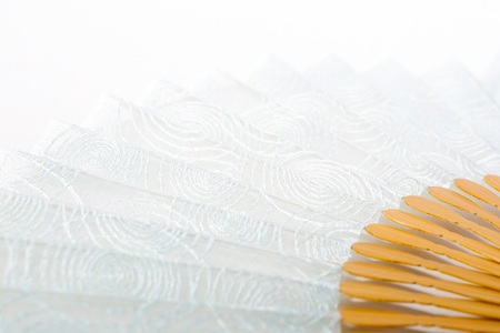 【伊と幸】《白生地の老舗が贈る》透扇子（渦巻・瓶覗色）