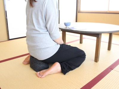 【洛中高岡屋】使い方がいろいろな寛ぎのアイテム さいころ枕（あられ黒）