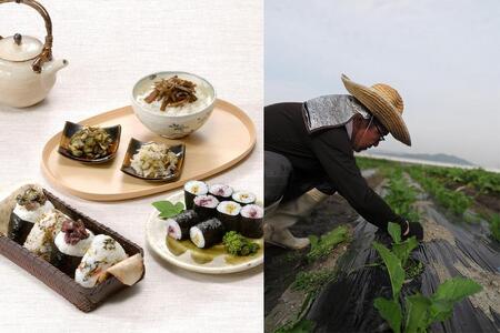 【京つけものもり】京漬物詰合せ10品