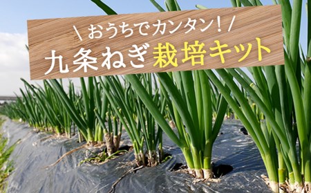 こと京都 自宅で つくれる 食べられる 九条ねぎ栽培キット 京都府京都市 ふるさと納税サイト ふるなび