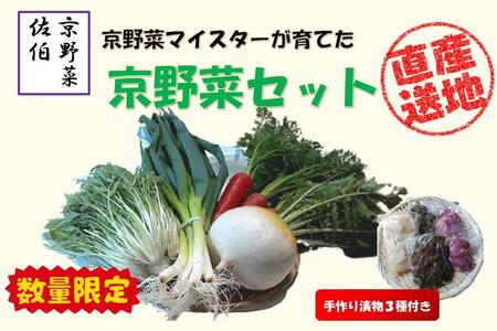 先行予約【京やさい佐伯】京野菜セット ＜数量限定＞［ 京都 直売所 直送 京野菜 野菜 新鮮 旬 人気 おすすめ 美味しい 人気 お取り寄せ 通販 送料無料 ふるさと納税 ］