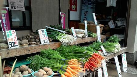 先行予約【京やさい佐伯】京野菜セット ＜数量限定＞［ 京都 直売所 直送 京野菜 野菜 新鮮 旬 人気 おすすめ 美味しい 人気 お取り寄せ 通販 送料無料 ふるさと納税 ］