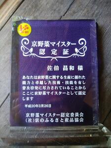 先行予約【京やさい佐伯】京野菜セット ＜数量限定＞［ 京都 直売所 直送 京野菜 野菜 新鮮 旬 人気 おすすめ 美味しい 人気 お取り寄せ 通販 送料無料 ふるさと納税 ］