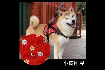 中型犬用 京都西陣金襴織 ハーネス 華 Hana 小桜月 赤 Makeachangeinc