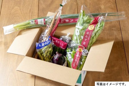 ＜6回　定期便＞【JA全農京都】２か月に１回配送！季節の京野菜セット