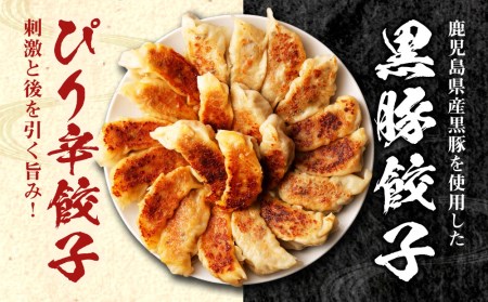 【ラーメン横綱】横綱の餃子はニンニク不使用！ぴり辛餃子・黒豚餃子 各5パックセット