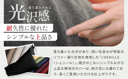 【大東寝具】~心と体によりそうかたち~ tetra シェニール(レギュラーサイズ)(パール)|京都 ビーズクッション 人気ブランド くつろぎ 癒し クッション