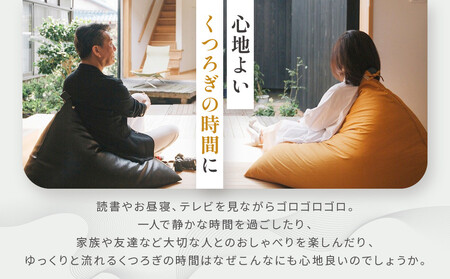 【大東寝具】～くつろぎのかたち～ 座・気まま ツムギクロス（レギュラーサイズ）（カラー：緑風）｜京都 ビーズクッション 人気ブランド くつろぎ 癒し クッション