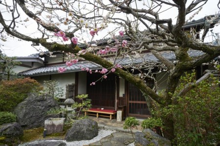 【京都木や】懐石料理 ペアお食事券［ 京都 京料理 食事 ランチ ディナー 人気 おすすめ 老舗 グルメ チケット 割引 ］ 