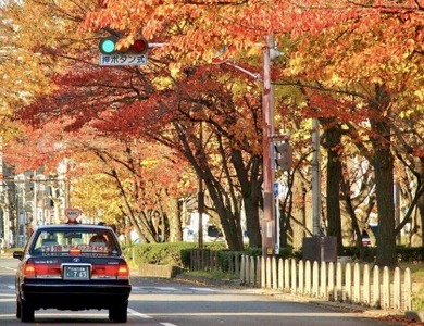 Mkハイヤー観光 ミニバン3時間 ドライバーとめぐるとっておきの京都観光 3 21 6 10 1 11 30 京都府京都市 ふるさと納税サイト ふるなび