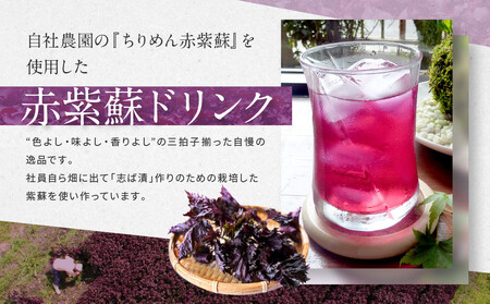 【土井志ば漬本舗】京都大原ちりめん赤紫蘇ジュース 180ml×10本｜赤紫蘇ジュース ドリンク 人気セット