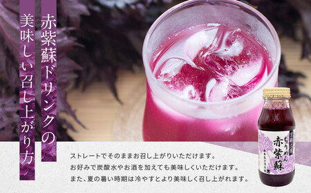 【土井志ば漬本舗】京都大原ちりめん赤紫蘇ジュース 180ml×10本｜赤紫蘇ジュース ドリンク 人気セット