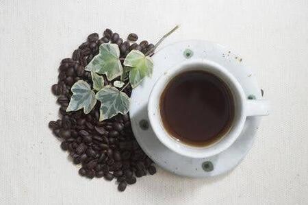 〈定期便・6ヶ月〉【PINROASTER】木屋町ブレンド（挽き）（200ｇ×2）