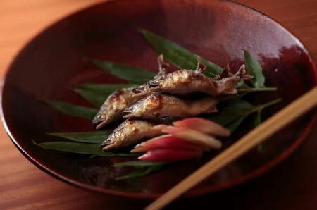 【日本料理 藤井】夜会席B 食事券1名様（ぐるなびセレクション）