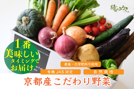 【緑のゆうき】〈6月以降発送〉野菜の売上１％が社会の応援に　京都産こだわりの野菜（有機野菜、栽培期間中農薬・化学肥料不使用など）の一番美味しいタイミングで収穫したセット