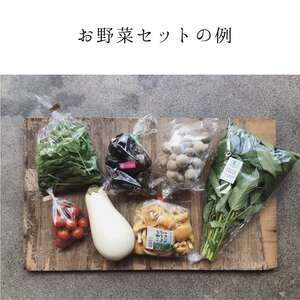 【Organic Vege Annex】京都市産お野菜セット＋無添加惣菜8パックセット