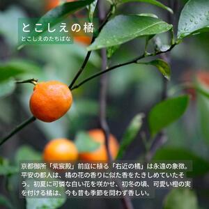 【洛景工房】ウォレットキーケース「SMART MOVE！PLUS！」＜とこしえの橘（オレンジ）＞