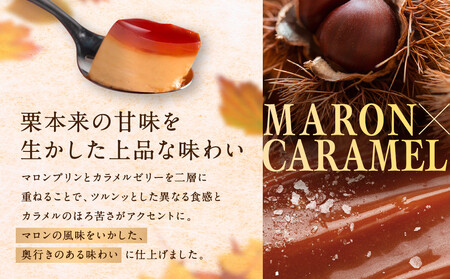 【銀座千疋屋】マロンプリン6個入PGS-052N｜フルーツ専門店 人気スイーツ ご褒美スイーツ