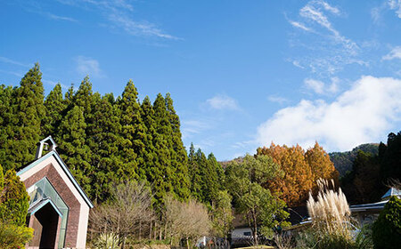 【冷蔵】ベイクドチーズケーキ 1ホール（直径約12cm） スイーツ ケーキ