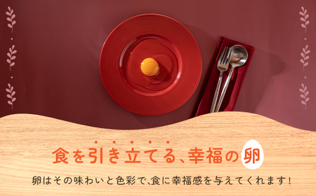 卵どすえ 卵80個  