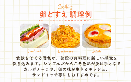 卵どすえ 卵80個  