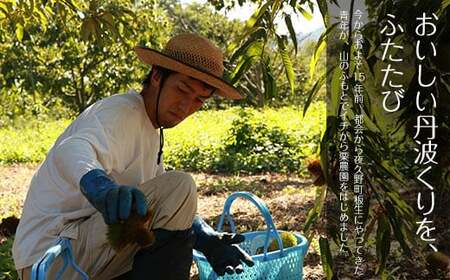 【先行予約11月下旬発送】【低温熟成】秦栗園の氷蔵丹波栗　むき500ｇ【むき栗】【サイズ品種不揃い】 FCAC022