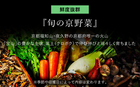 【3ヵ月定期便】鮮度抜群「京野菜」　食べきりサイズ詰合せ FCCM015