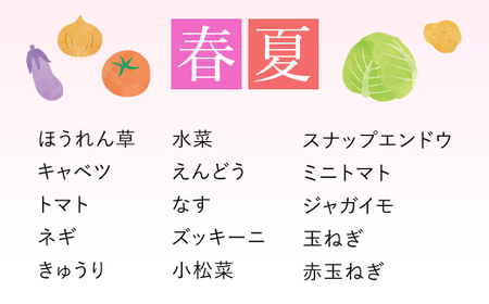 【6ヵ月定期便】鮮度抜群「京野菜」　食べきりサイズ詰合せ FCCM016
