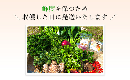 【3ヵ月定期便】鮮度抜群「京野菜」15品目詰合せ FCCM018