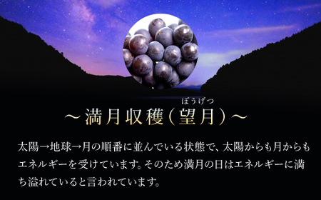 京都・三和ぶどうジュース【満月収穫！ストレート果汁100％！！】720ml×2本 FCBQ006