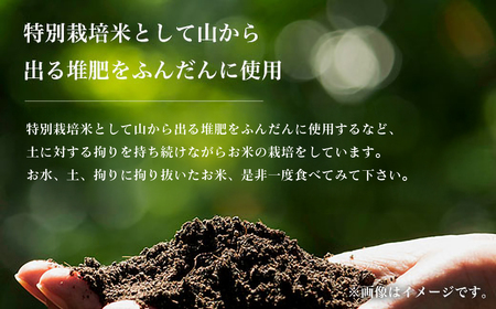 令和7年産 はるまる農園のコシヒカリ 5kg×3 合計15kg ／ FCCN011