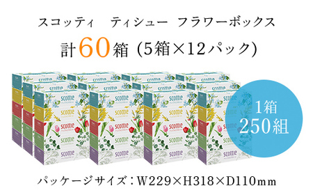 【ボックスティッシュ60箱＋トイレットロール48ロール セット】スコッティティシューフラワーボックス250組60箱(1ケース5箱×12パック) と スコッティフラワーパック3倍長持ち4ロール（ダブル）×12パック/  日用品 ティッシュ トイレットペーパー セット 消耗品 備蓄 防災 大容量 大人気 おすすめ 肌触り 日本製 たっぷり 防災用品 防災  国産 クレシア 